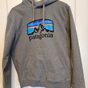 Patagonia Hoodie Grey Med